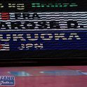 Paris 2014 by P.Lozano cat -66 kg_PLM1639